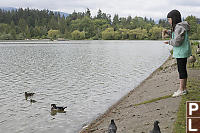 Claira Trying To Feed Wood Ducks