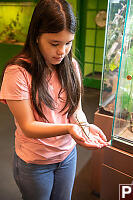 Claira With Stick Bug