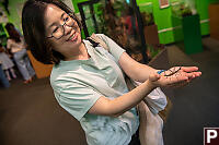 Helen With Stick Bug