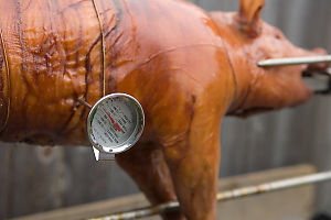 Thermometer In Meat