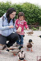 Nara And Helen Feeding The Ducks