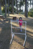 Nara Throwing Toss