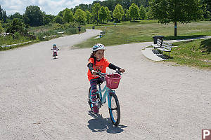 Nara Pushing Up Hill