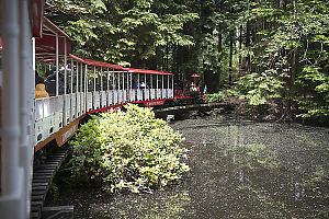 Stanely Park Train Over Pond
