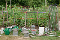 Collection Of Watering Cans In Front Of Garden