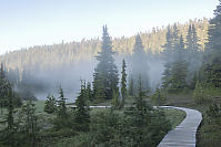 Lake Fog As Sun Rises