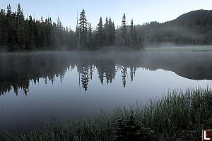 Pre Sunrise Fog