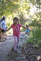 Walking Rocks At Outerbridge Park