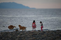Dogs And Kids At Sunset