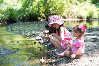 Throwing Rocks Into River