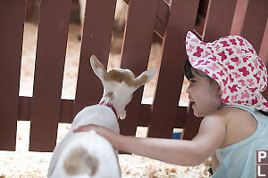 Claira Happy With Goat