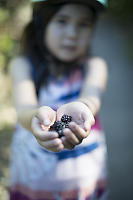 Nara Gathered Black Berries