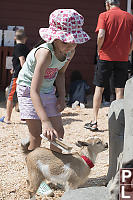 Nara With Goat