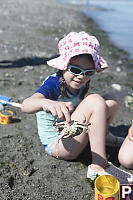 Claira Has Male Crab