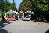 Market On Saturna