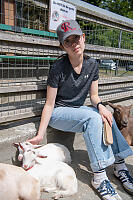 Nara With Sleeping Goats