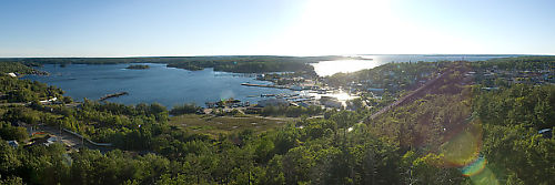 Tower View