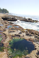 Tide Pool On Shore