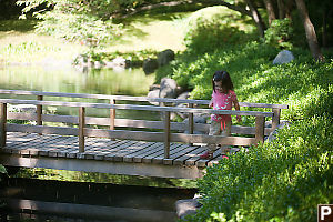 Nara On Bridge To Turtle Island