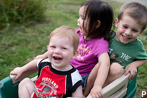 Wagon Ride Down The Hill