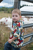 James Watching The Turkeys