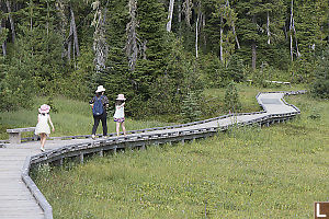 Walking Along Boardwalk