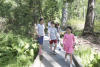 Boardwalk In Forest