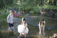 Chasing Small Fish In Stream