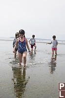 Walking In Sea Grass Shallows