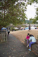 Eating Snacks Under Arbutus