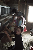 Kids In Hen House