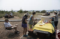 Lunch At Picnic Tables