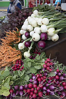 Onions And Radishes