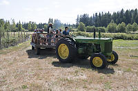 Tractor Into Lower Field