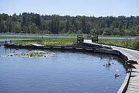 Kids Alone On Docks