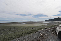 Ponds At Williams Beach