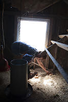 Finding Eggs In Wood Shavings