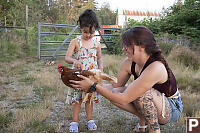Mackenzie Petting Chicken