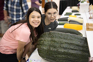 This Yeas Largest Zuchini