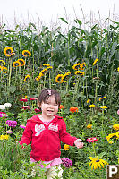 Nara Next To ACorn Field