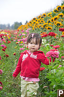 Nara With Sunflowers Behind