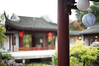 Rain Falling In Courtyard