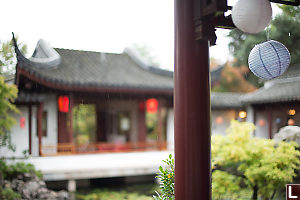 Rain Falling In Courtyard