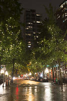 View Down Abbott Street