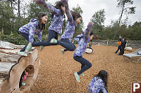 Nara Jumping Off Log