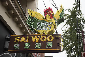 Sai Woo Fancy Sign