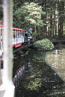 Stanley Park Train Over Pond