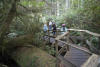 Previous