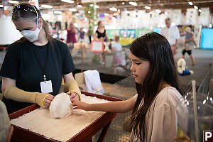 Claira Touching Rabbit