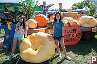 Giant Sized Pumpkins